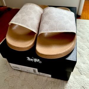 Coach slides